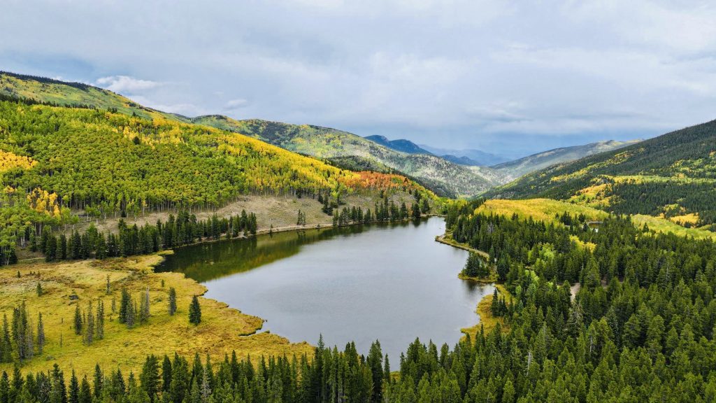 aspen trees, defensible space, wildfire mitigation, Colorado foothills, ladder fuels, home hardening, SafeShield